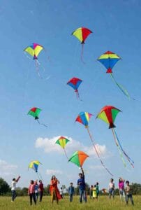Makar Sankranti 2026 Celebrations Near Me UAE: Kite Flying & Temple Events